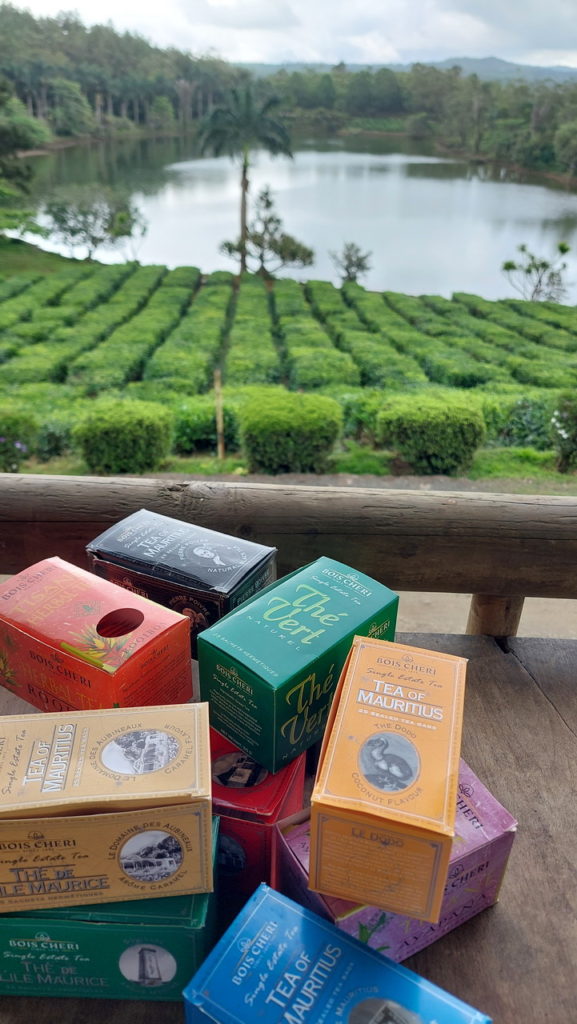 Le Bois Cheri teaültetvény