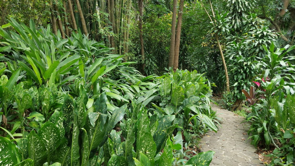 La Vanille nature park