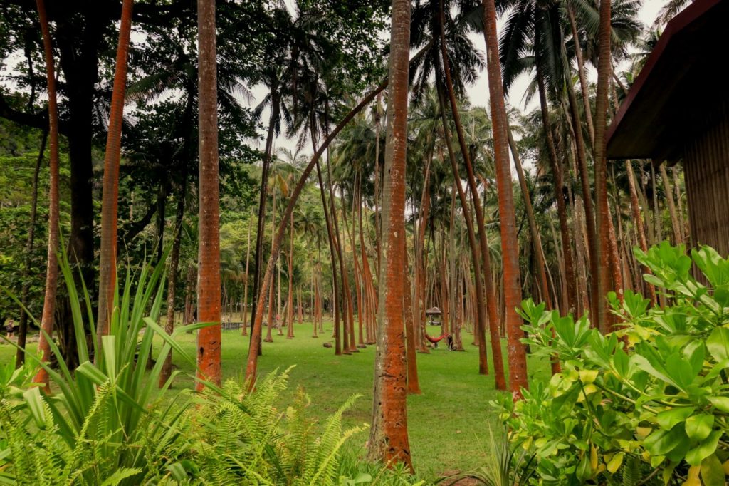 reunion_latnivalok_34