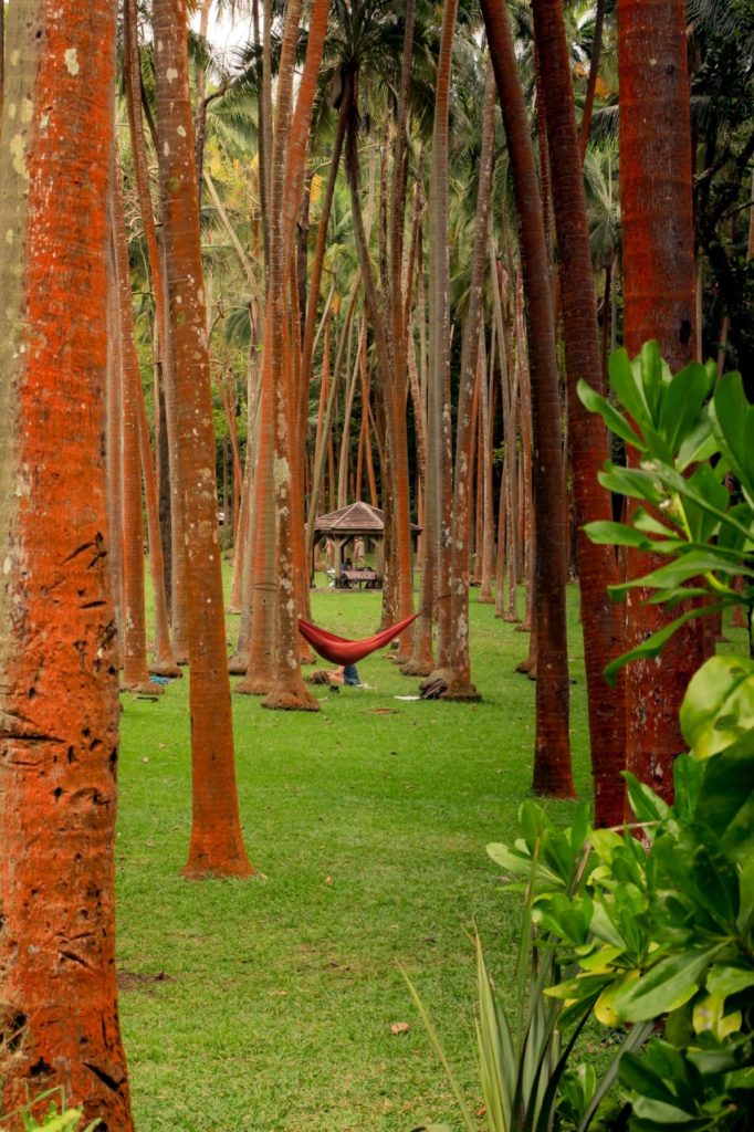 reunion_latnivalok_34