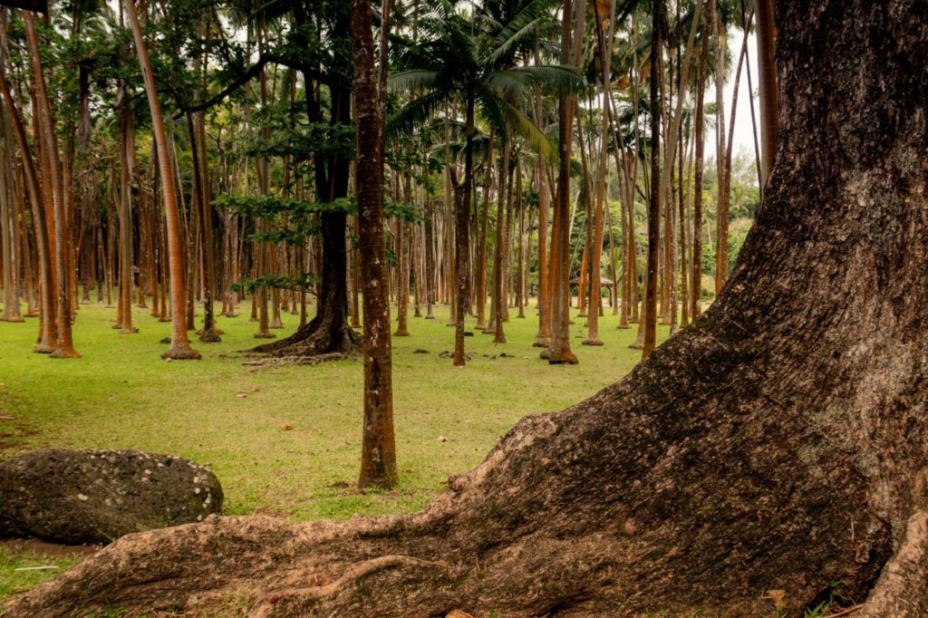 reunion_latnivalok_34