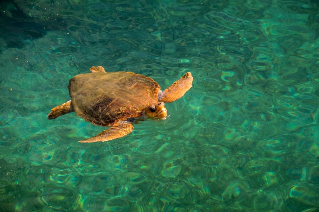 Reunion látnivalók