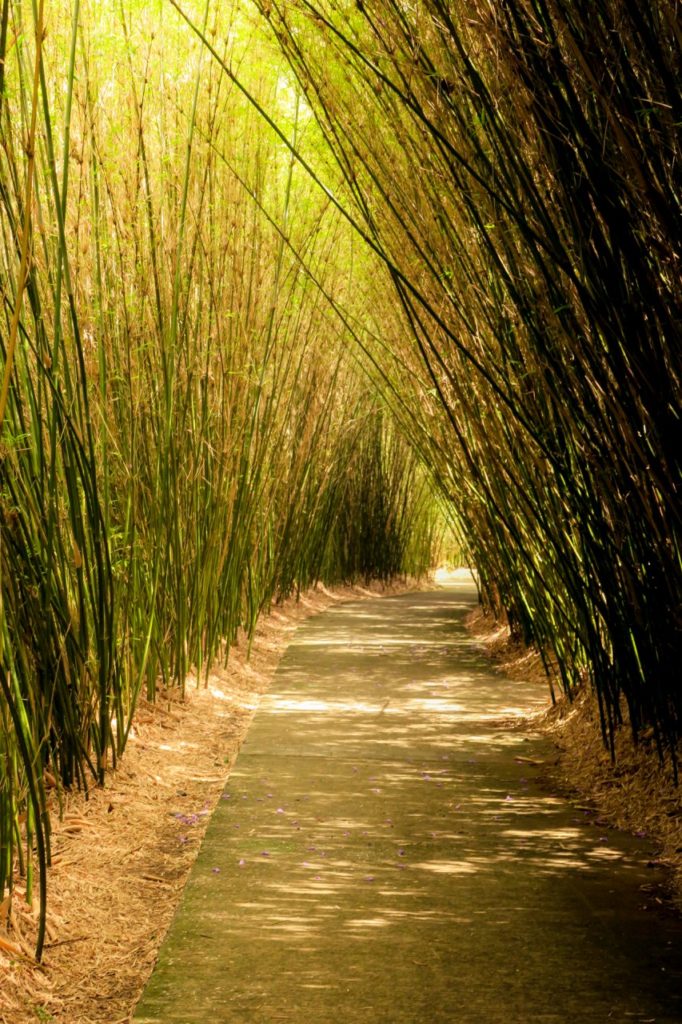 reunion_latnivalok_77