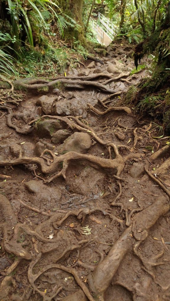 Trou de fer, Reunion látnivalók