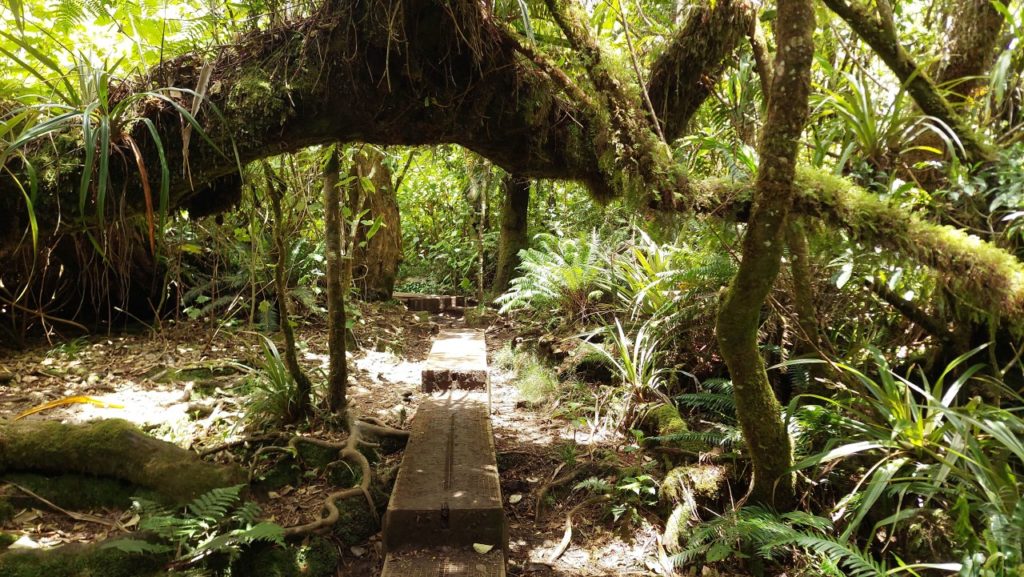 Trou de fer, Reunion látnivalók