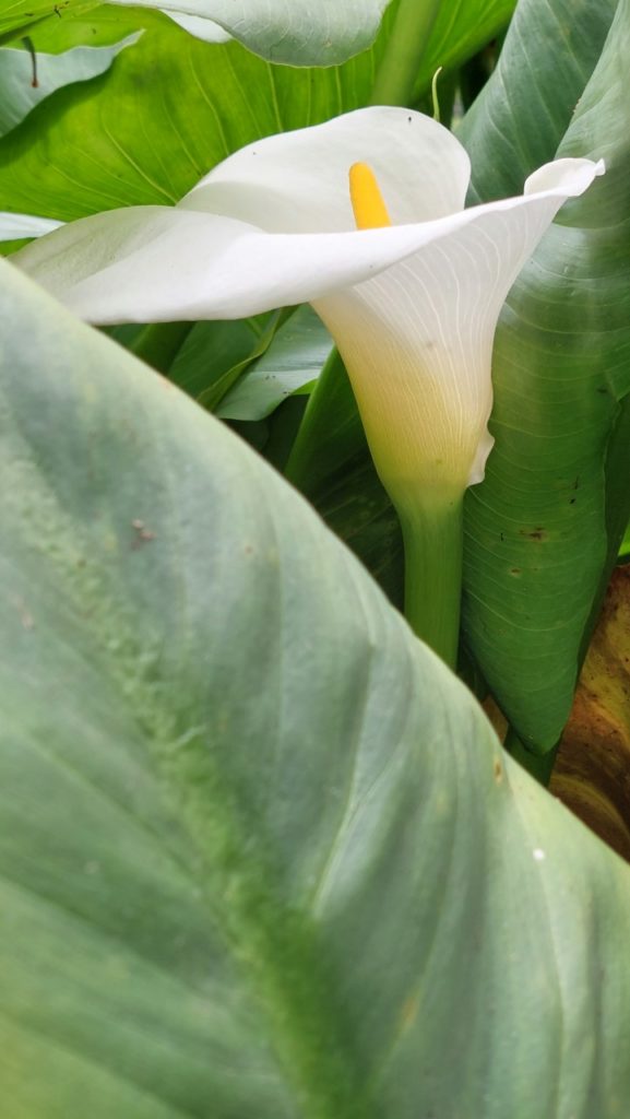 Trou de fer, Reunion látnivalók