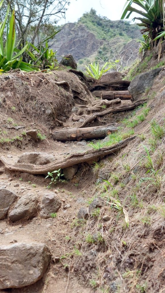Cialos, Reunion látnivalók