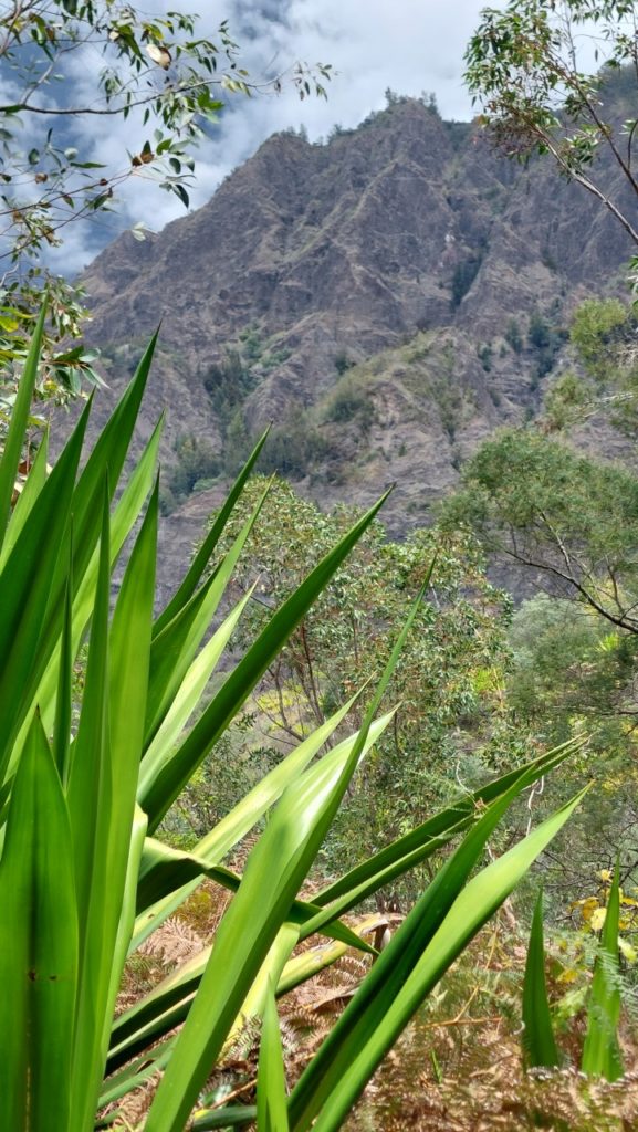 Cialos, Reunion látnivalók