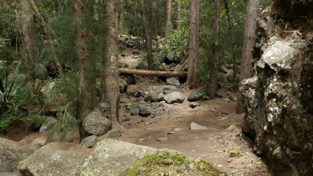 Cialos, Reunion látnivalók