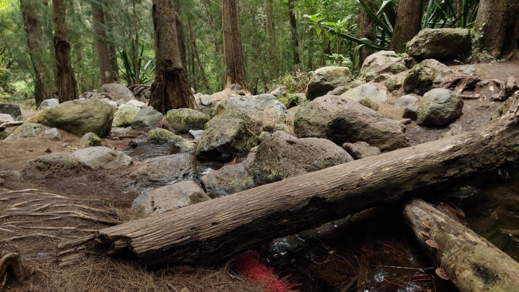 Cialos, Reunion látnivalók