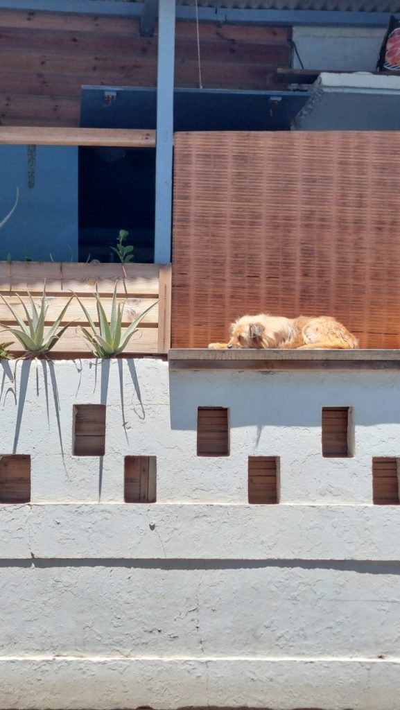 Saint-Pierre, Reunion