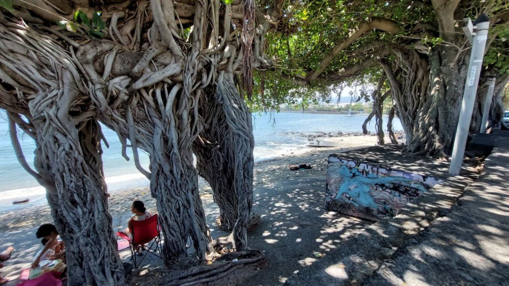 Saint-Pierre, Reunion