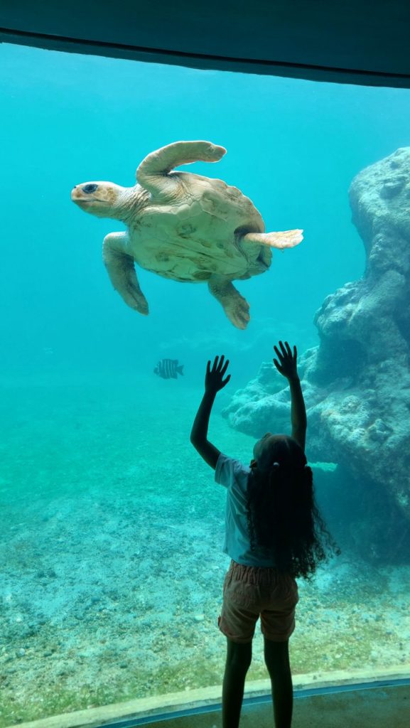 Reunion látnivalók