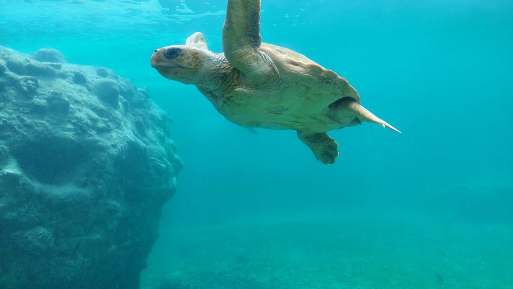 Reunion látnivalók