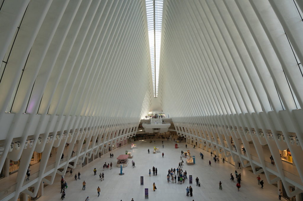 NYC oculus