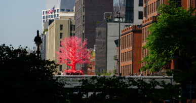 New York Highline