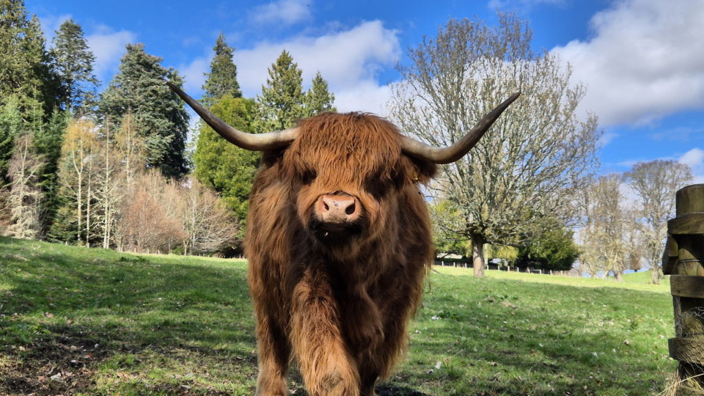 Skócia látnivalók