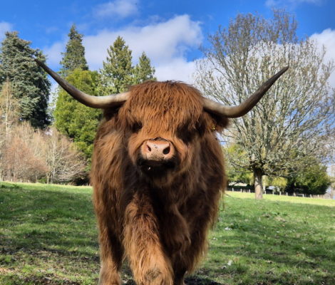 Skócia látnivalók