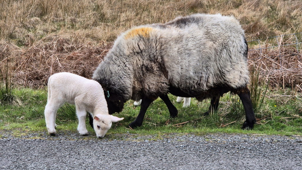 Skye sziget Skócia látnivalók