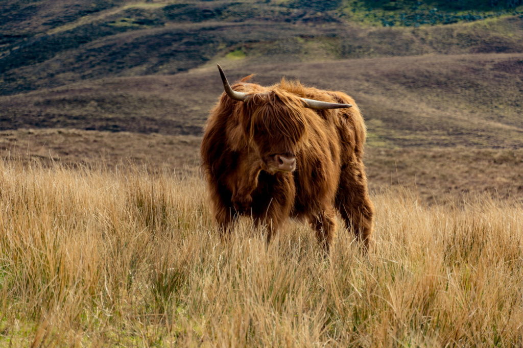 Skye sziget Skócia látnivalók
