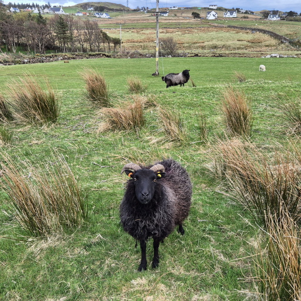 Skye sziget Skócia látnivalók
