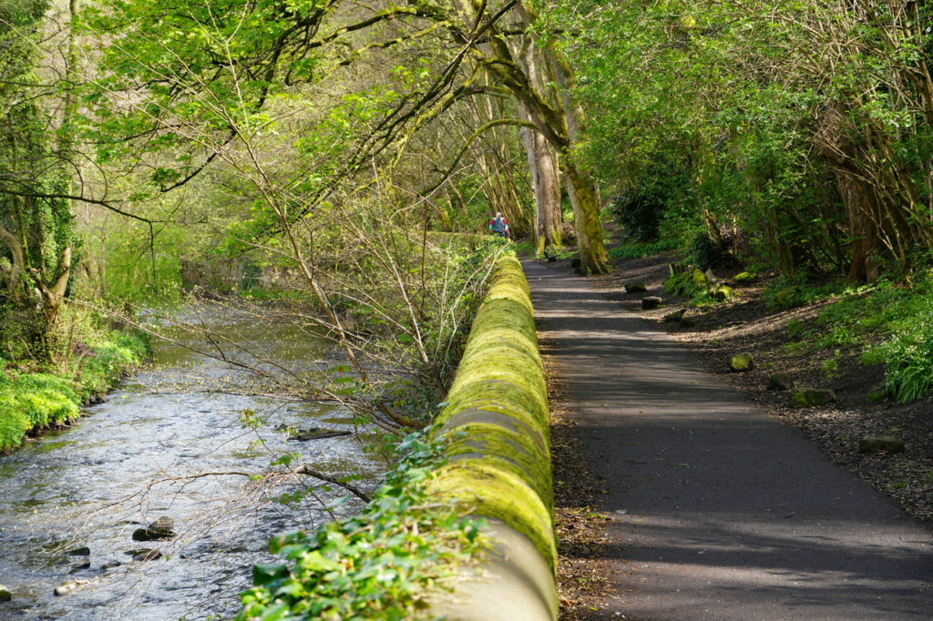 Edinburgh - Water of Leith