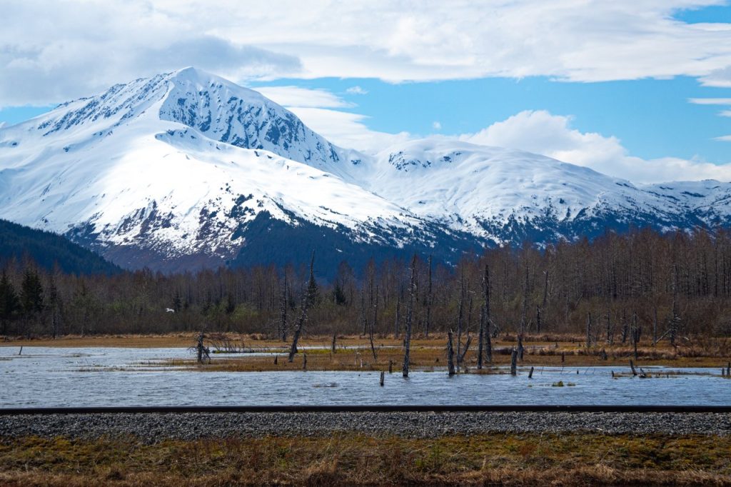 Turnagain arms, Alaszka